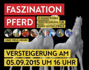 Faszination Pferd, Foto